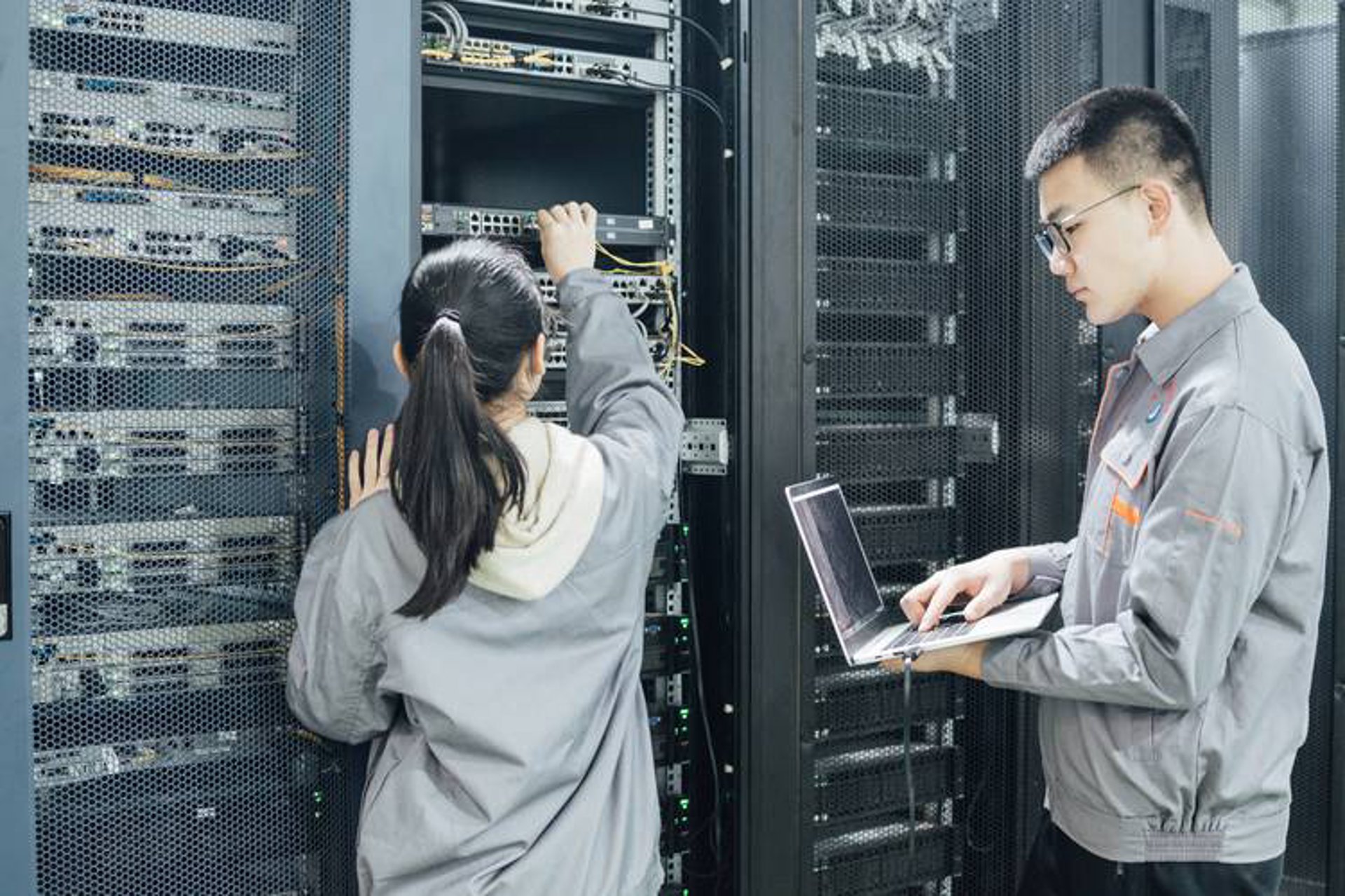 AI站群程序的技术演进与行业应用观察